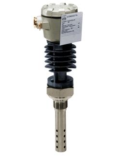 Датчик Endress-Hauser CLS13-A1D1A