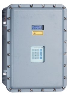 Газоанализатор Endress-Hauser SS2100I-1AD00YYY211YNNNY
