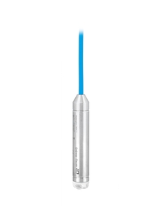 Датчик Endress-Hauser FMX11-CA11DS06